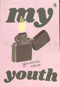 Image of My Youth